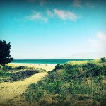 Point Reyes path beach